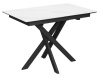 Стол Касабланка-1С PVC  WHITE MARBLE/черный